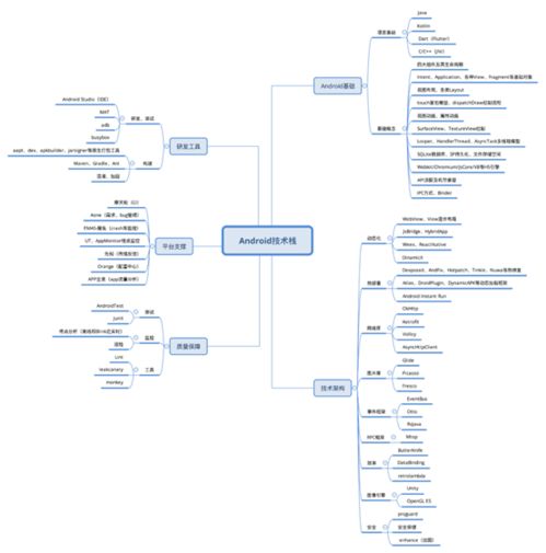 10 知識圖譜開放下載,讓你的學(xué)習(xí)效率提升5倍 右腦 開發(fā)套餐